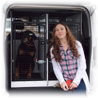 Pet taxi image